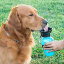 Bouteille d'eau pour chiens