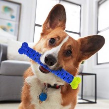 Spazzolino in osso per cani