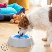 Refreshing drinking fountain for animals