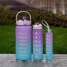 Leakproof Motivational Water Bottles - Pack of 3